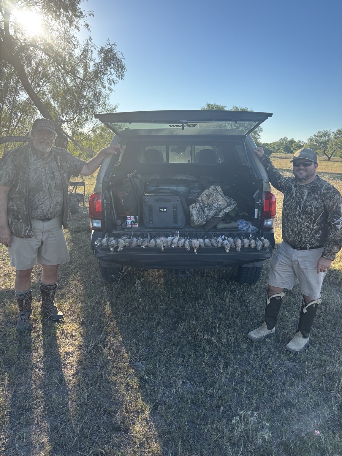 Dove hunting
