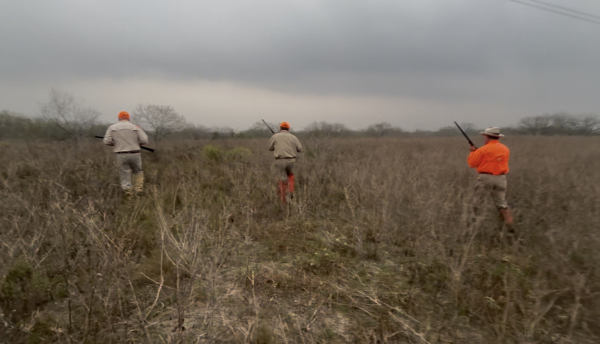Upland bird hunting