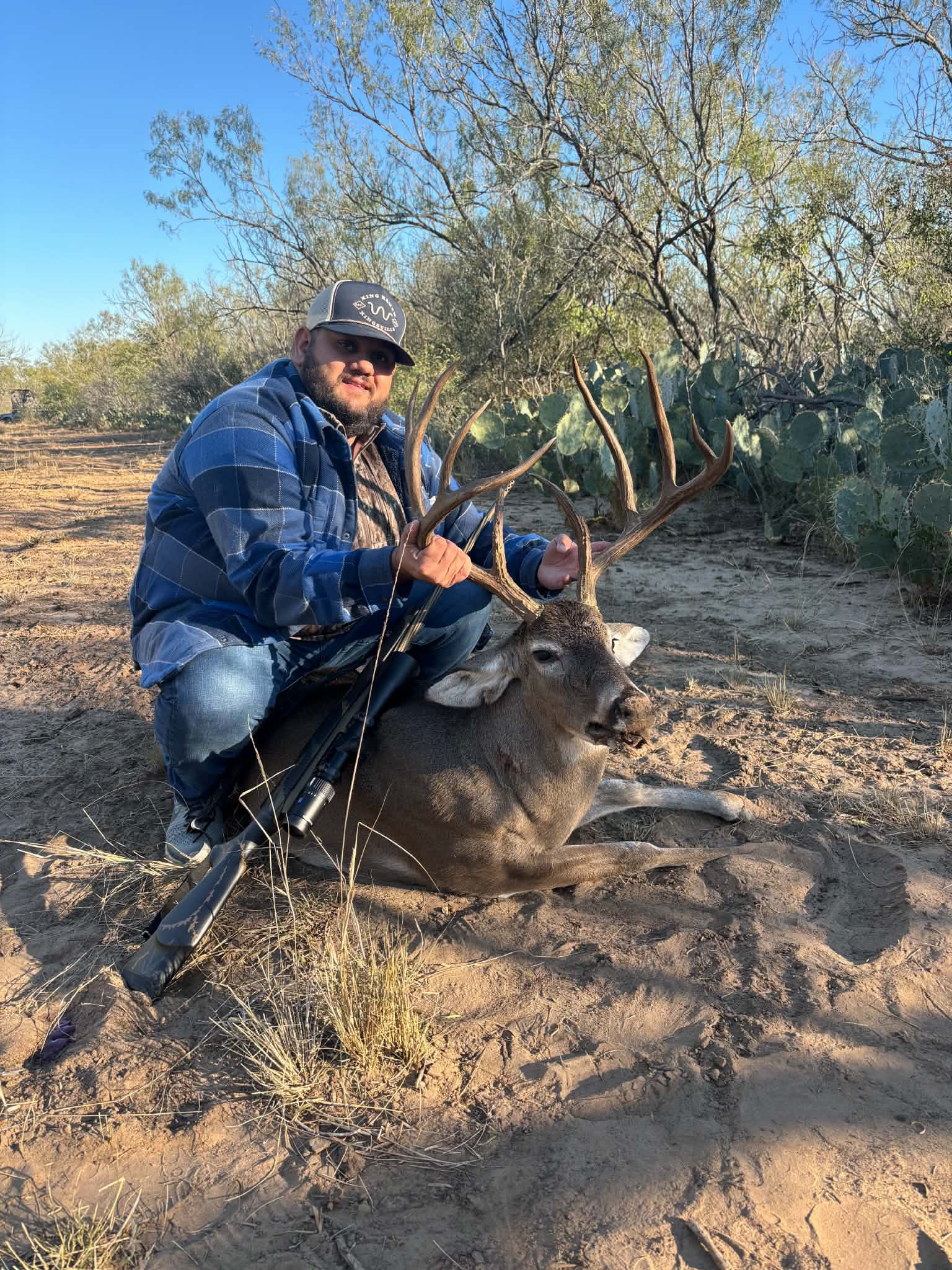 South Texas whitetail buck